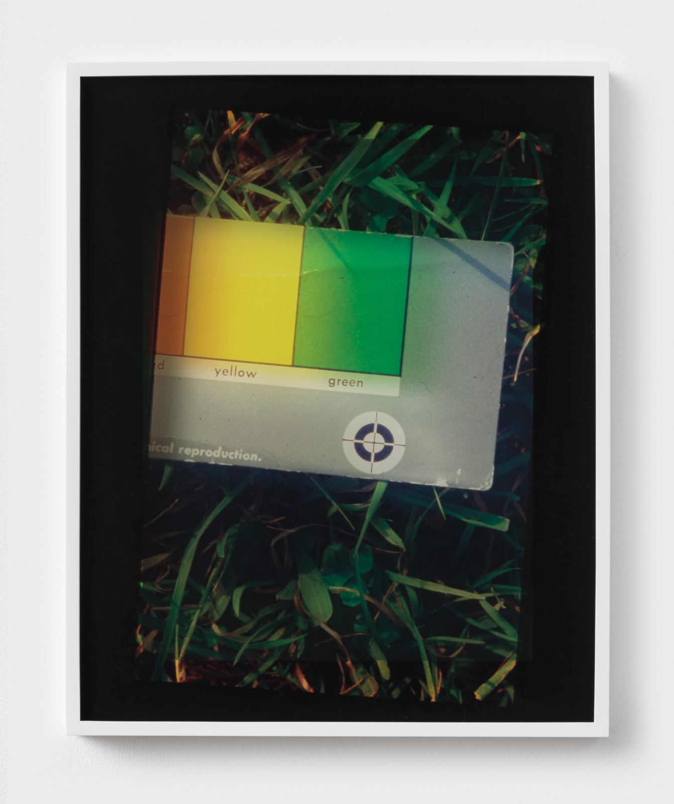 Sara Greenberger Rafferty, Exterior (University of Michigan Extension), 2018