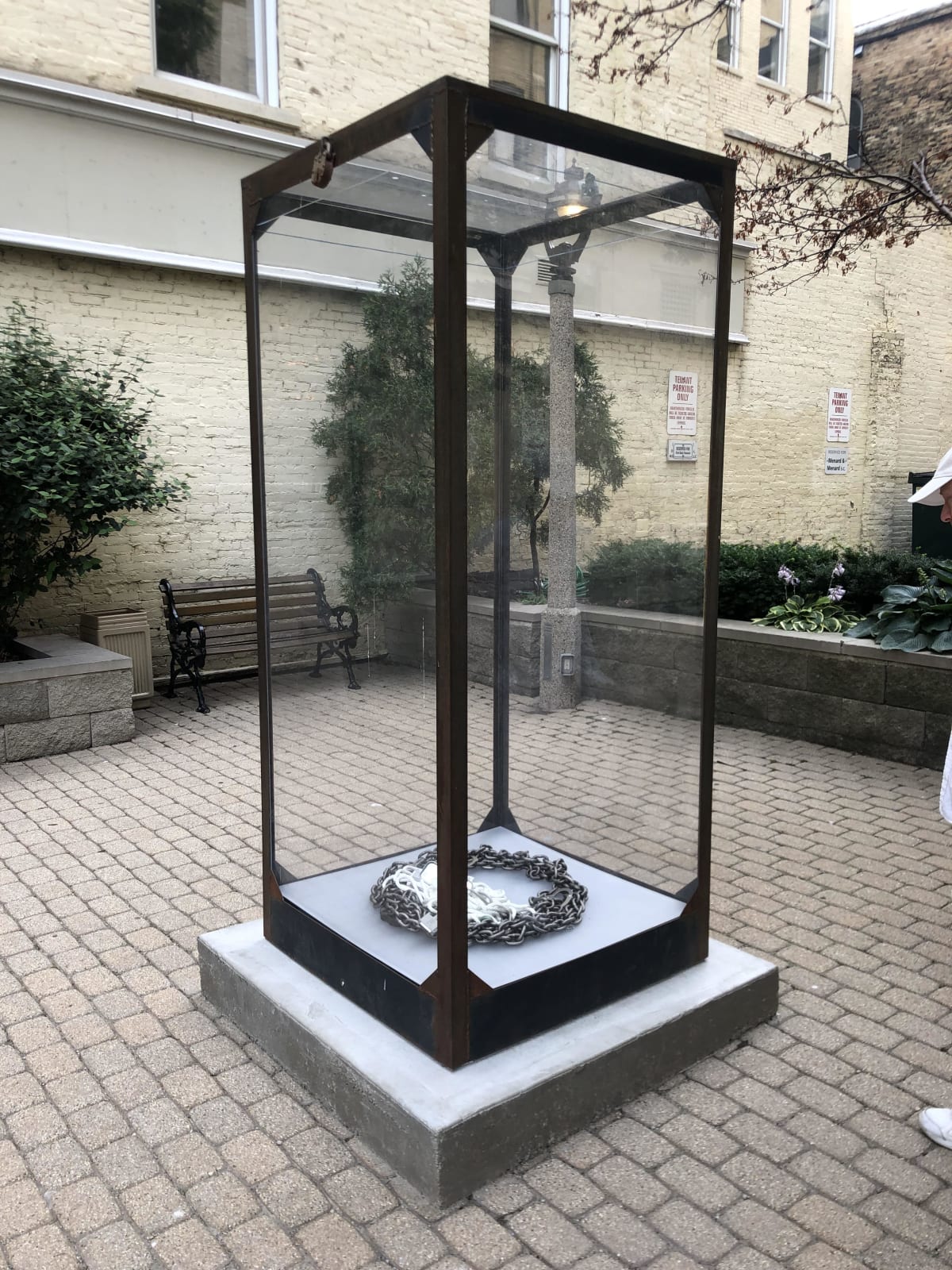 Sara Greenberger Rafferty, After Harry, 2008