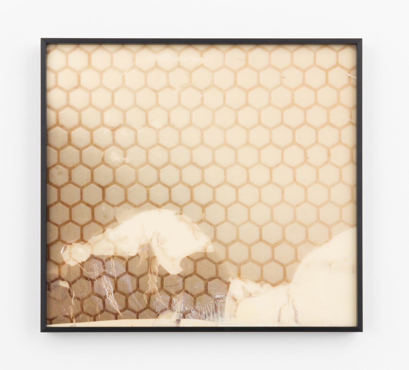 Sara Greenberger Rafferty, Floor II, 2016