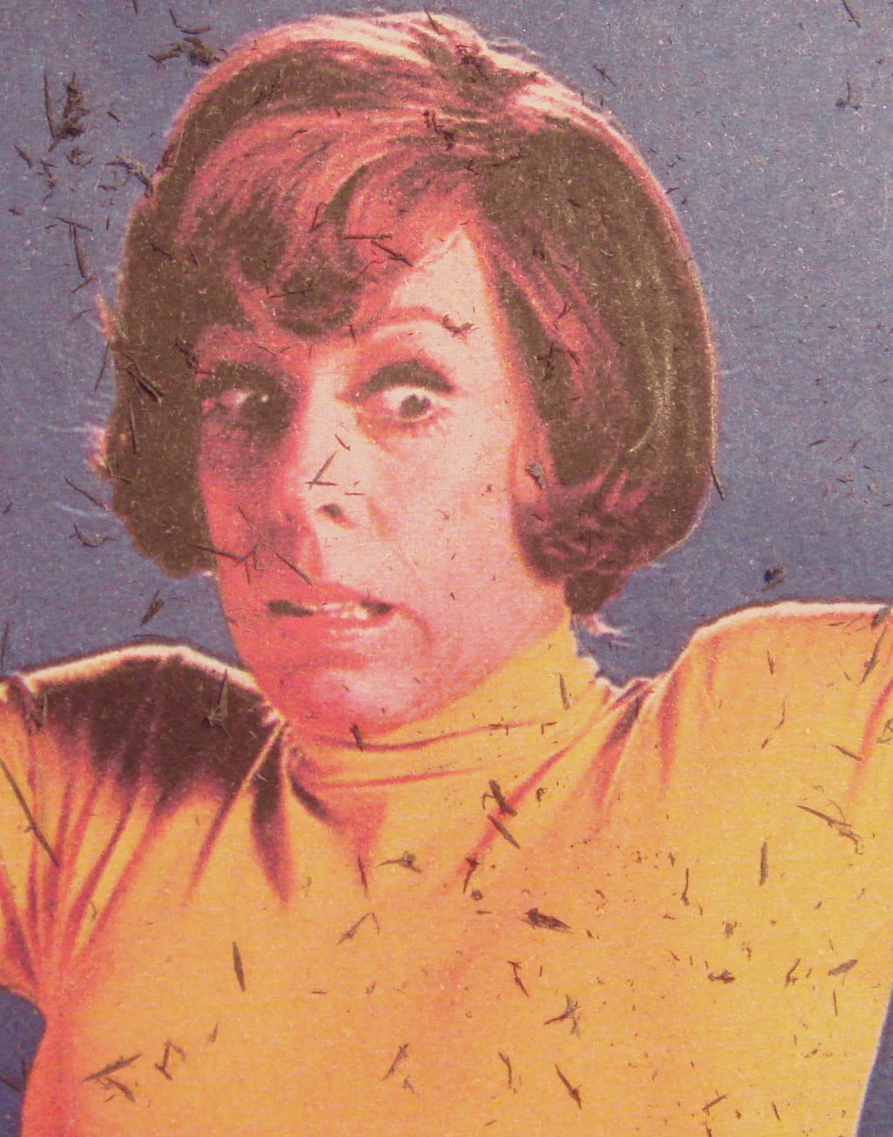 Sara Greenberger Rafferty, Shavings, 2007