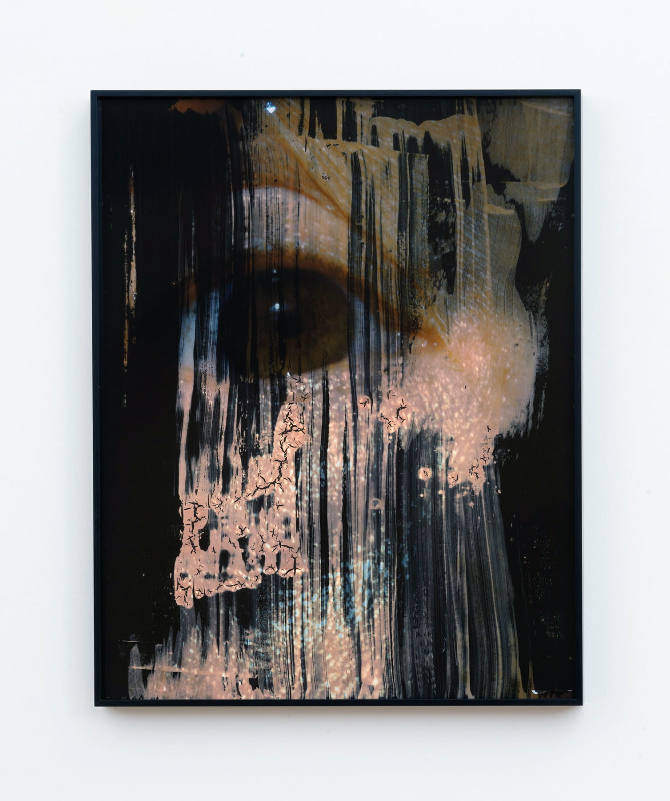 Sara Greenberger Rafferty, Eye Test (University of Michigan Extension), 2018