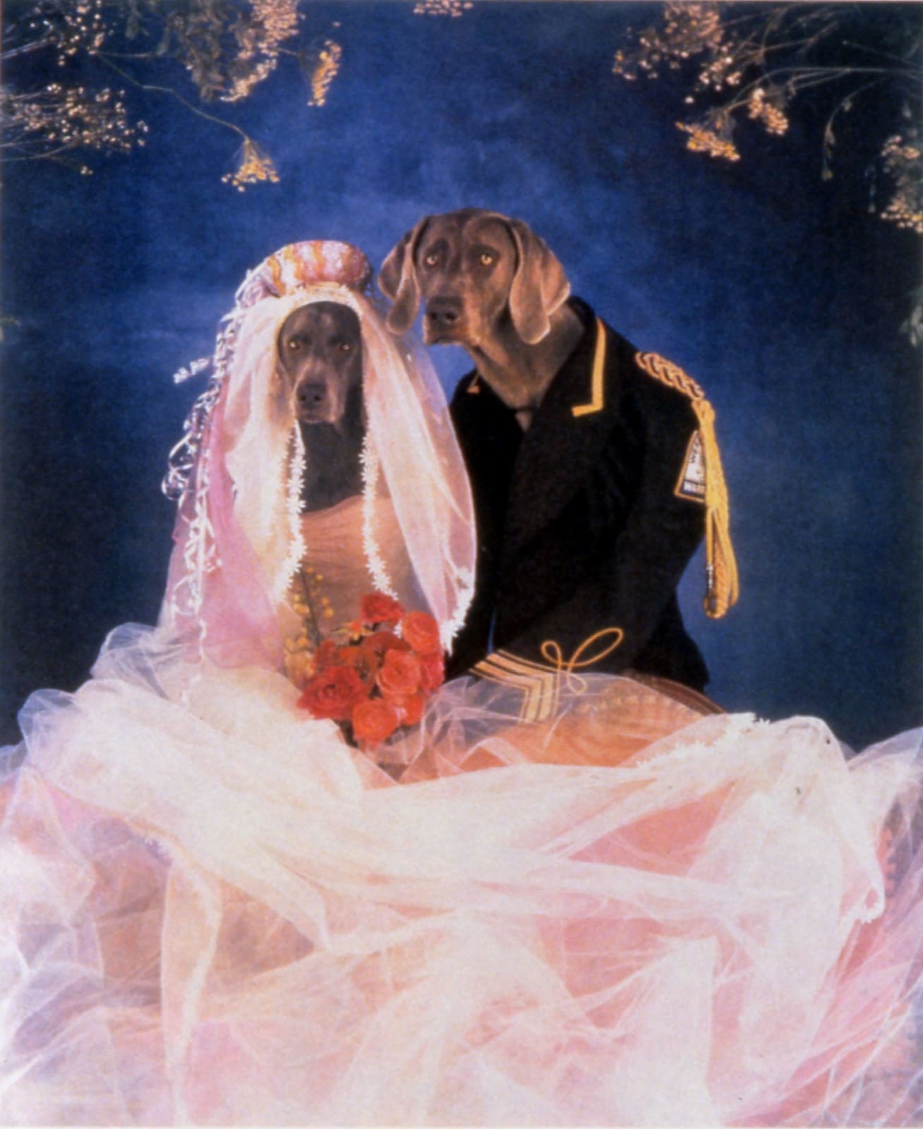 William Wegman, Cinderella (Wedding Portrait of Cinderella and the Prince), 1994
