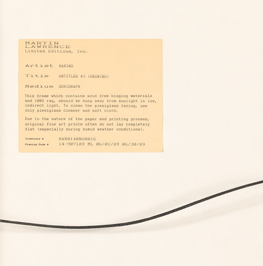 Keith Haring, Growing #3, 1988