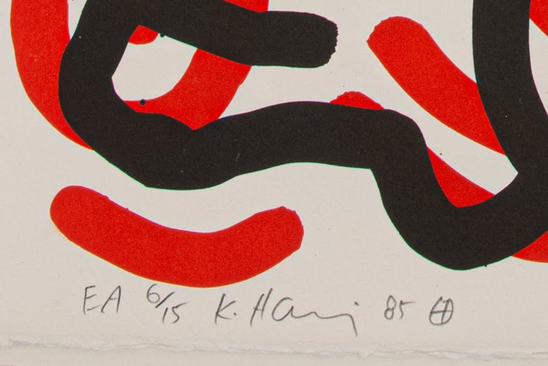 Keith Haring, Ludo, 1985
