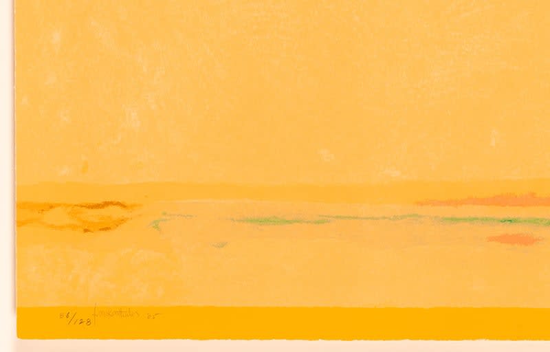 Helen Frankenthaler, Southern Exposure, 2005