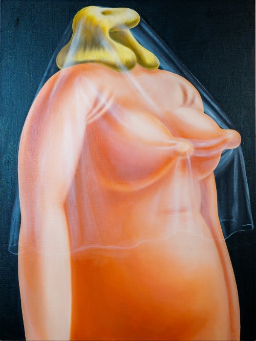 Louise Bonnet, A Small Veil , 2018