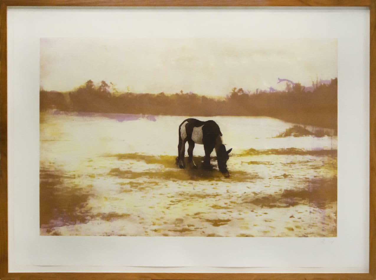 Peter Doig, Pinto, 2000