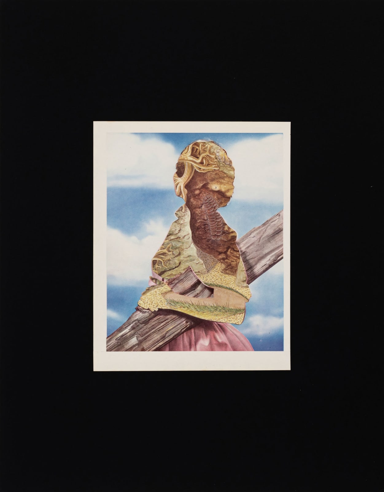 John Stezaker, Spell, 2024
