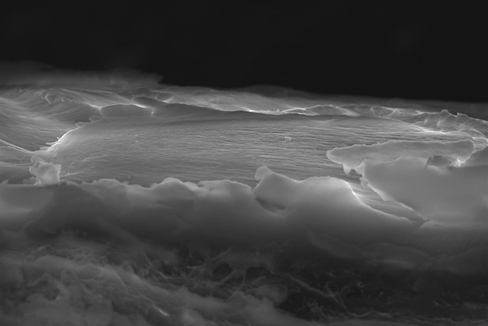 Anouk De Clercq, Atlas, 2016