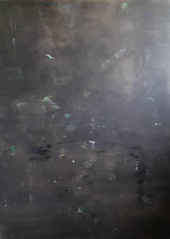 Maaike Schoorel, Jungle Water, 2018/2019