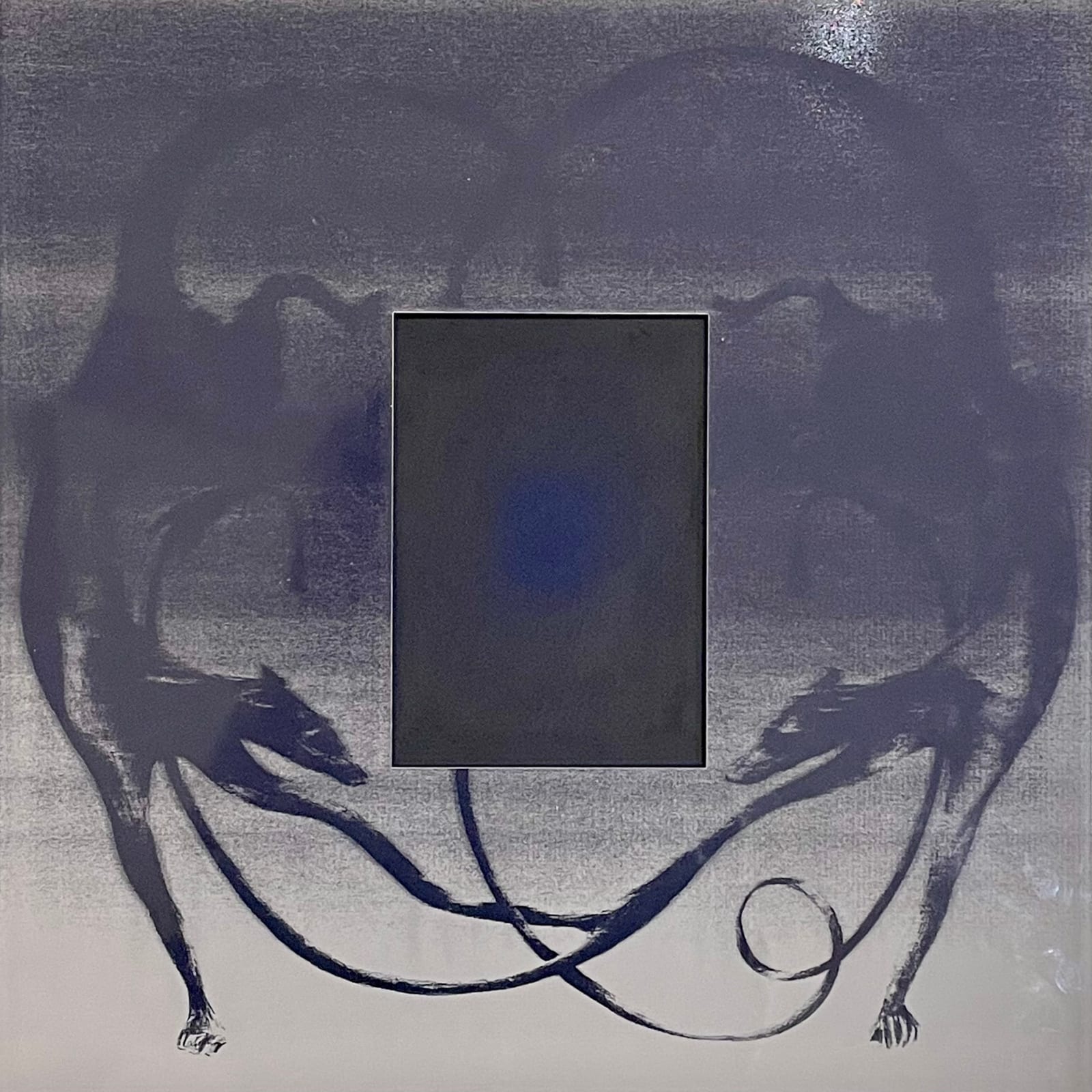 Noa Verkeyn, Dog II, 2024