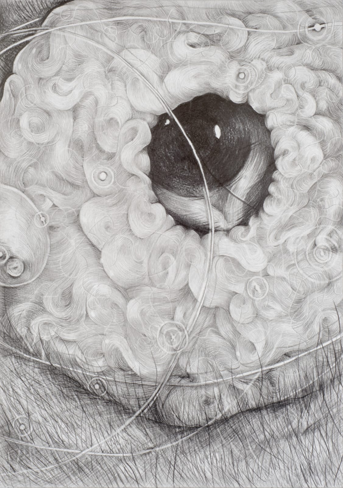 Tom Hallet, To Oscar, 2023