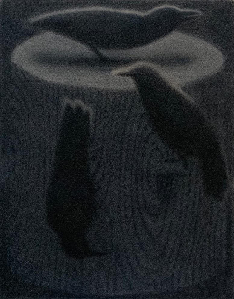 Johnny Izatt-Lowry, Birds on a log at night, 2020