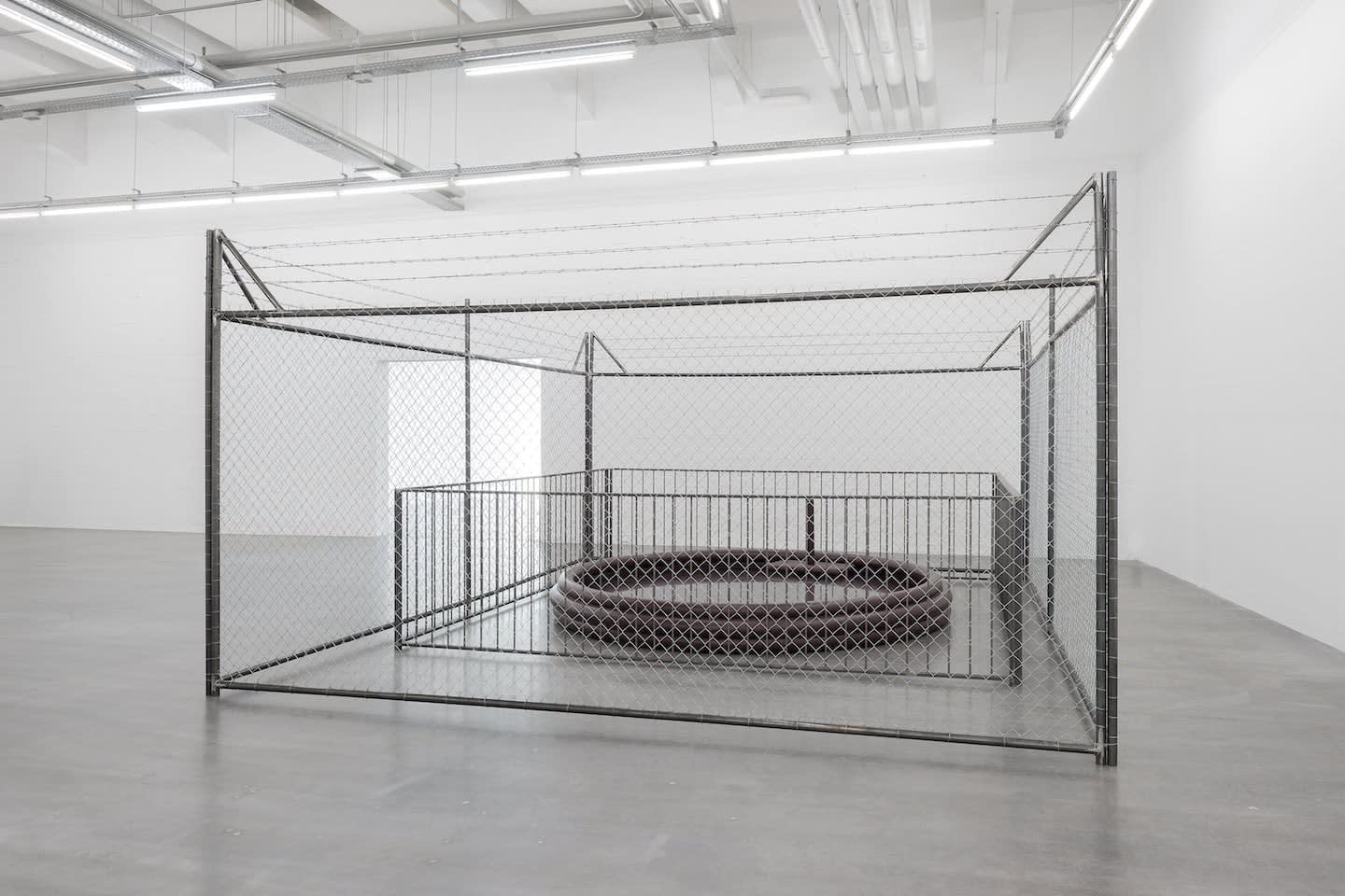 Sven 't Jolle, Citizenship (Protect your loved ones), 2016