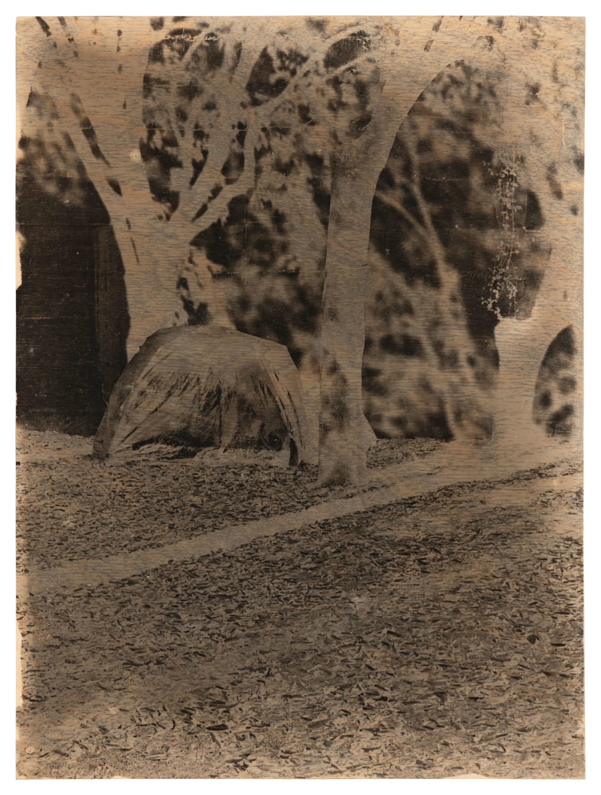 Ives Maes, Tent, 2024