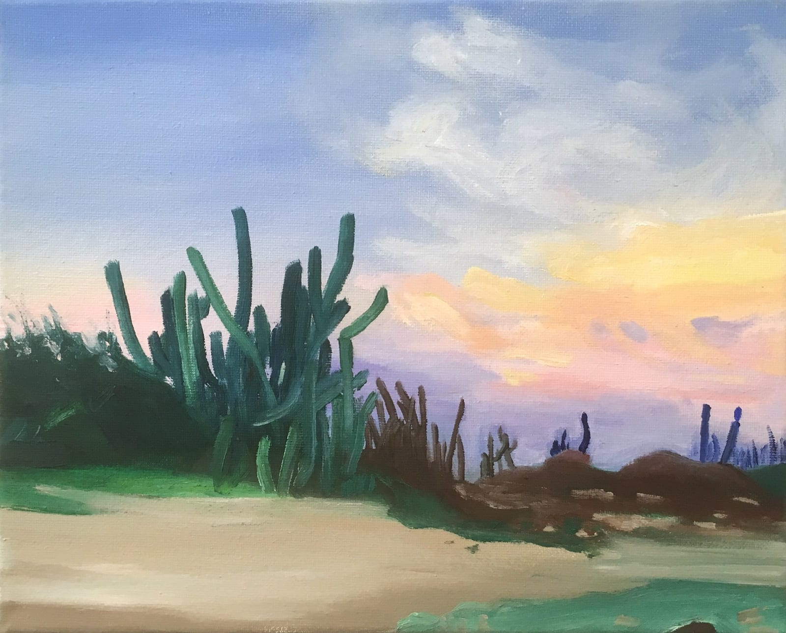Elise Debrock, Cacti, 2020