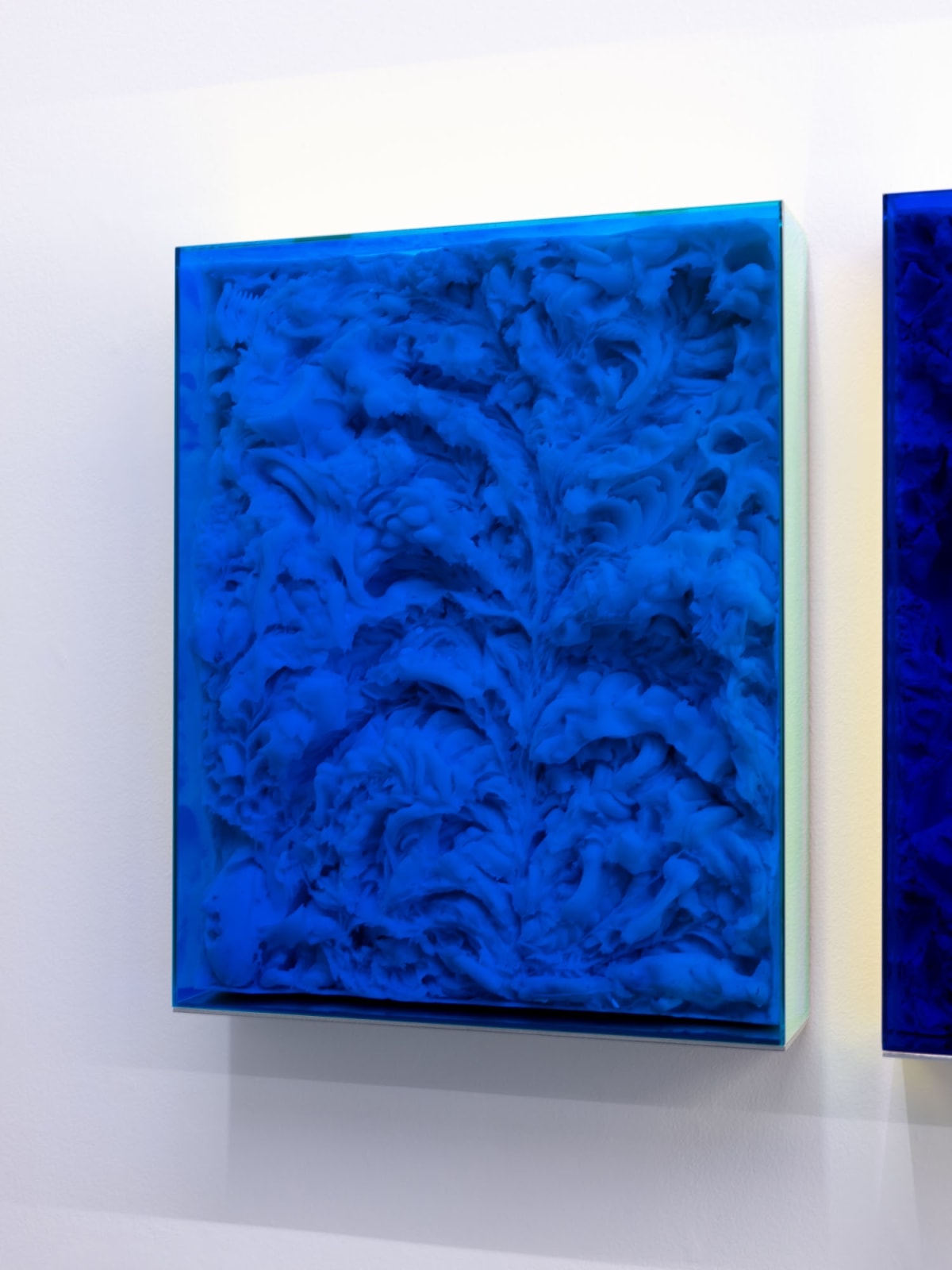 Filip Vervaet, Early Shades, 2021
