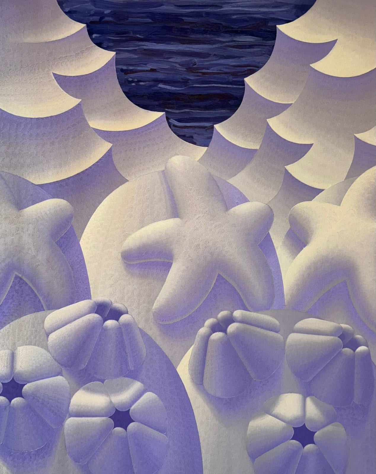 Laurens Legiers, Untitled (Snowy Barnicles and Sea Stars), 2024