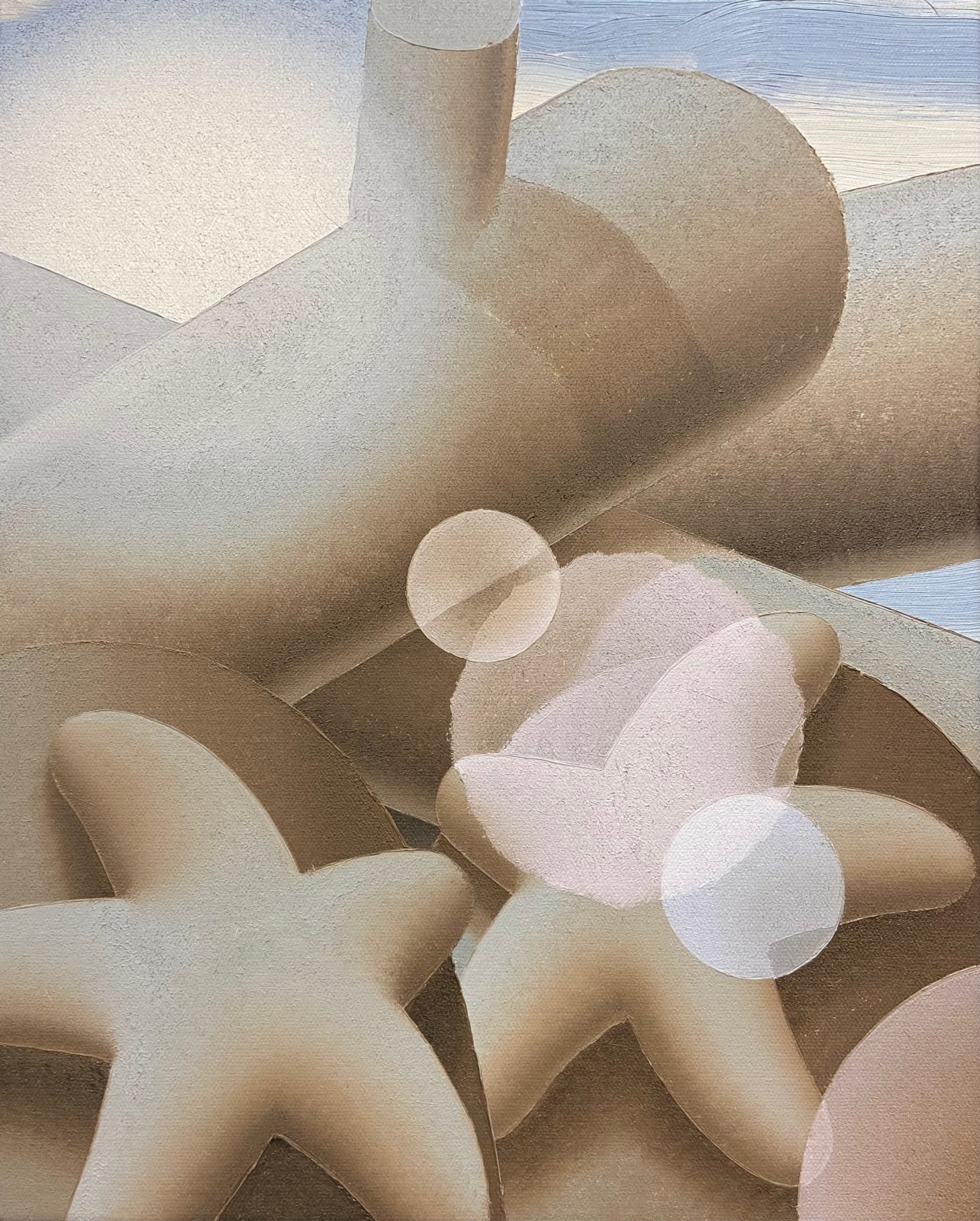 Laurens Legiers, Sea Stars with a Sun Glare, 2022