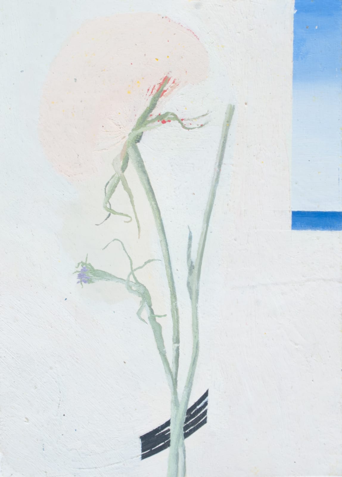 Quinten De Bruyn, Dandelion, 2021