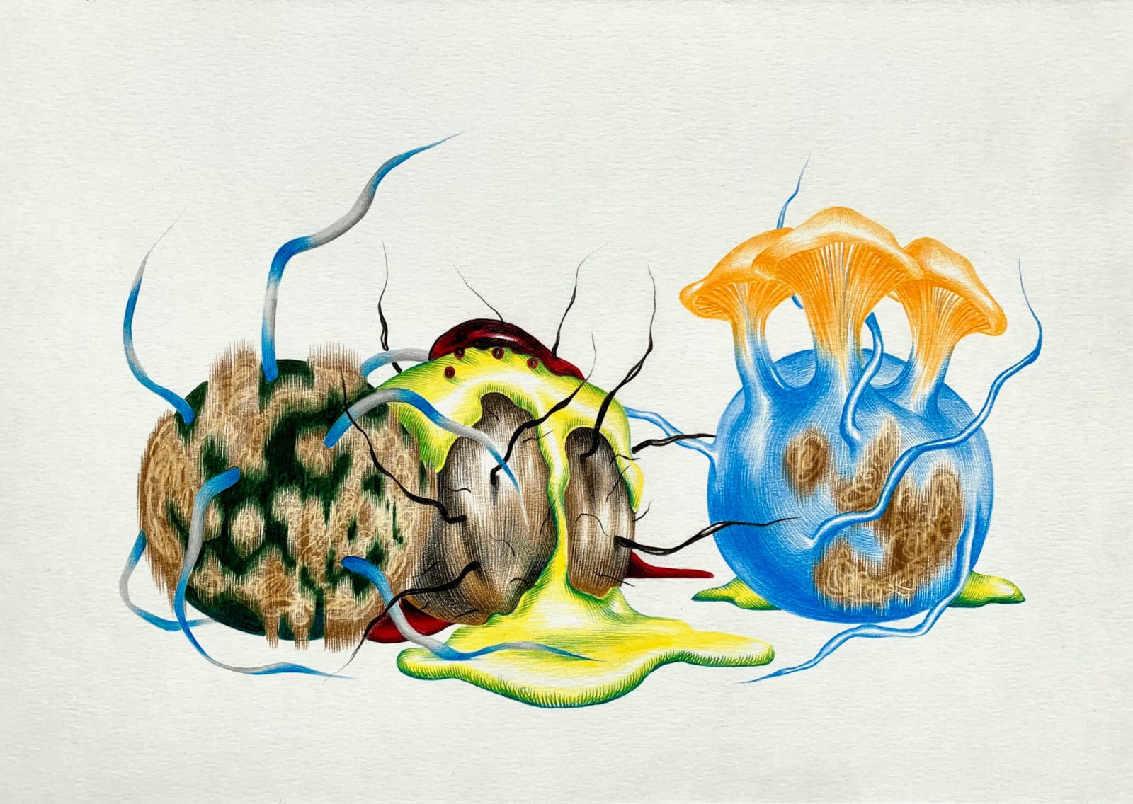 Elena Minyeyevtseva, Fungus Benedict, 2020