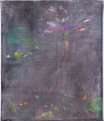 Maaike Schoorel, Waterplant, 2019