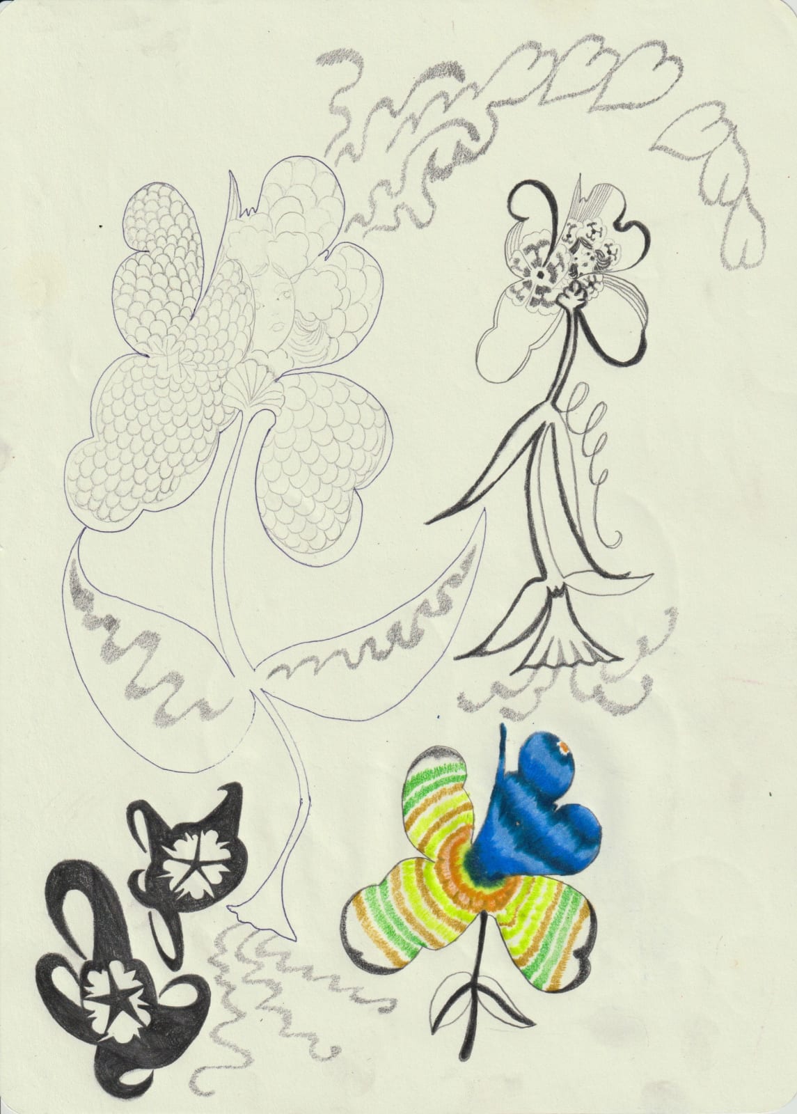 Lotte Vansantvoet, Berrybaby bloom, 2024