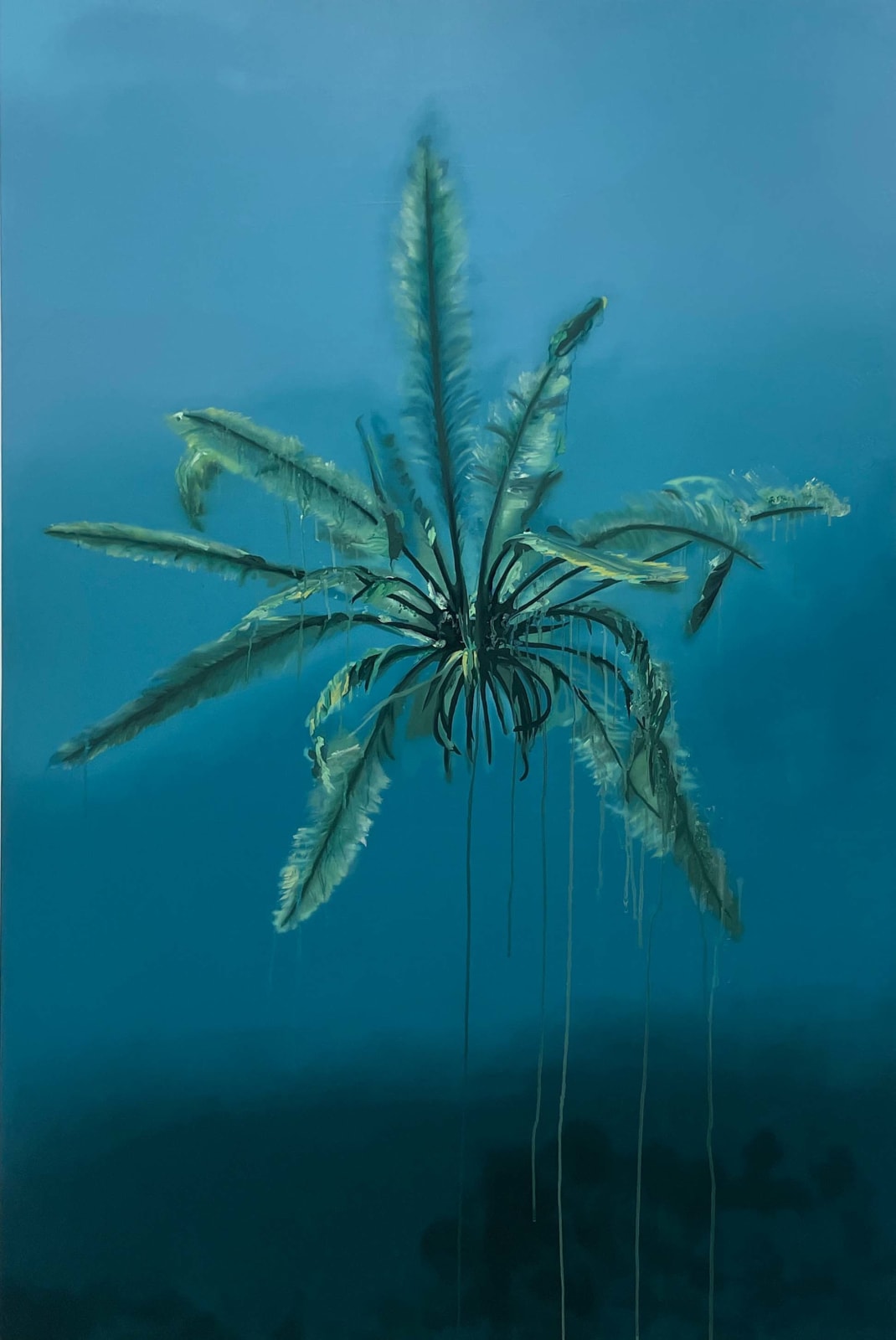 Sarah De Vos, Featherstar, 2024