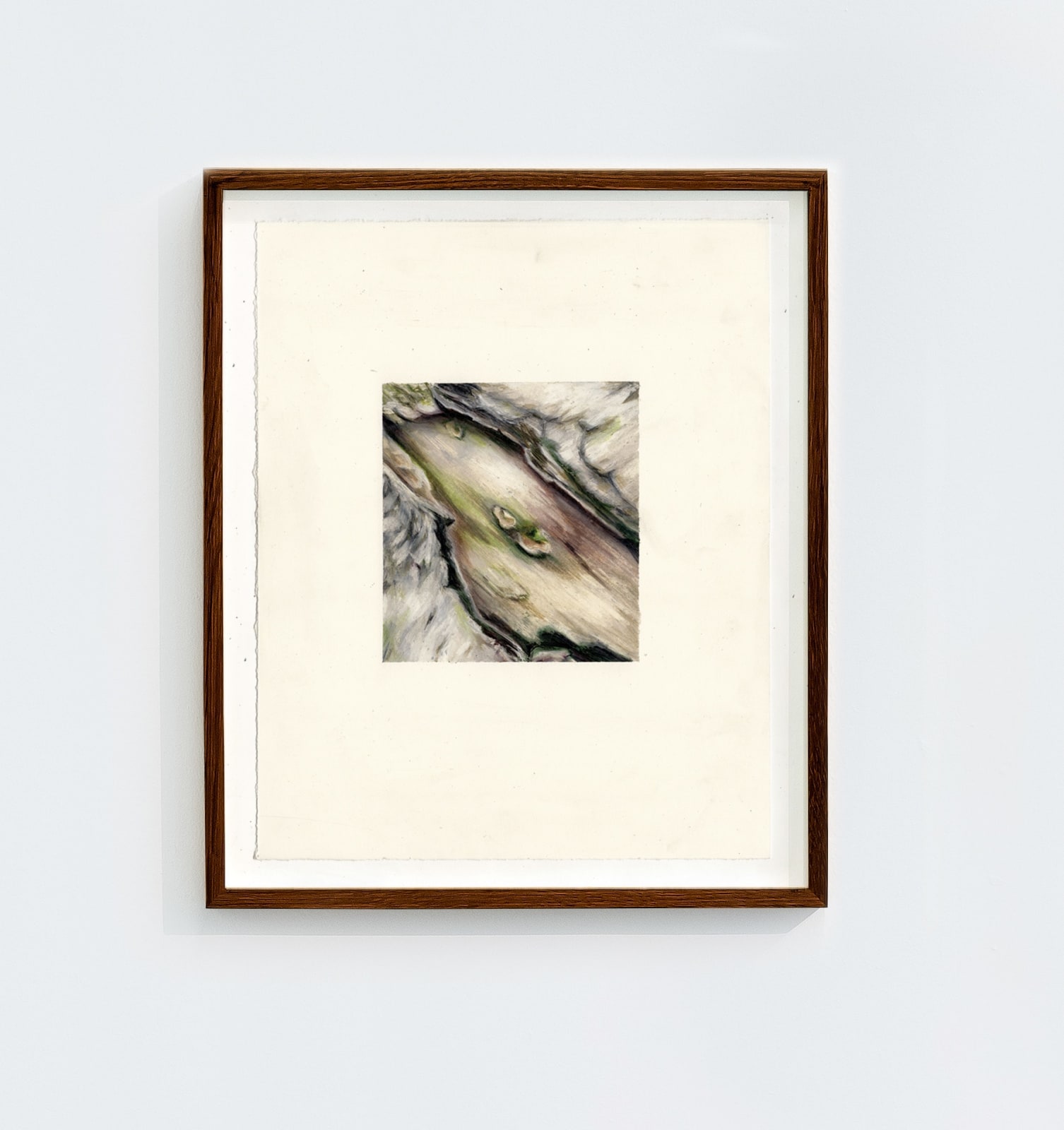 Penelope Deltour, Verzachtende vergankeijkheid, 2022