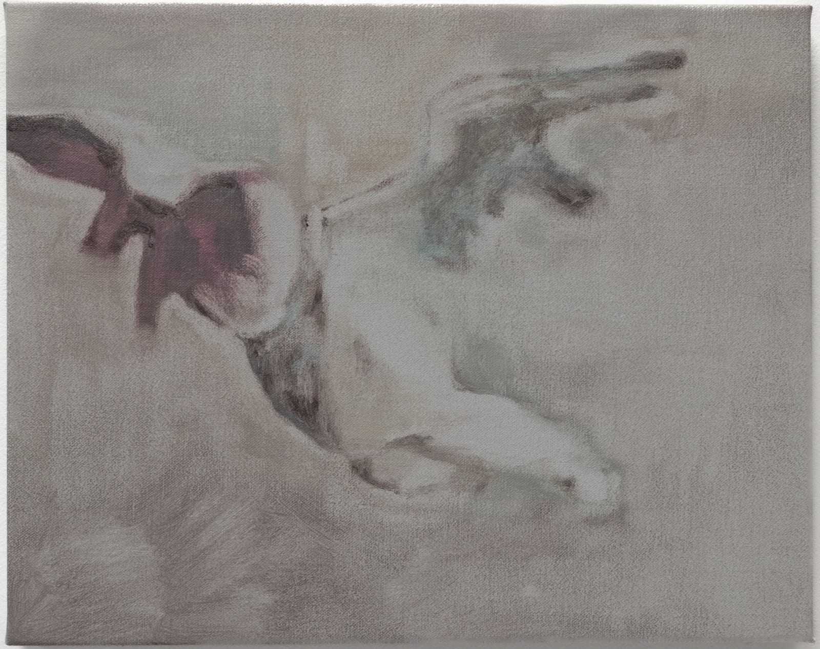 Edouard Devriendt, wonder, 2024