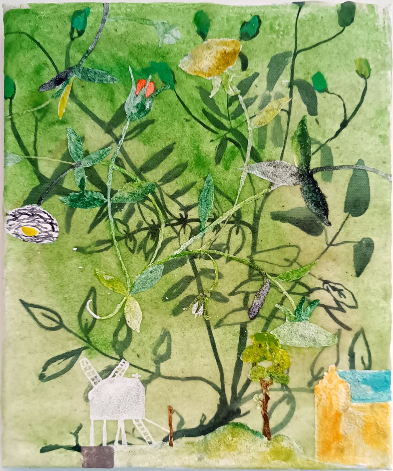 Francesco Battistello, Spring, 2024