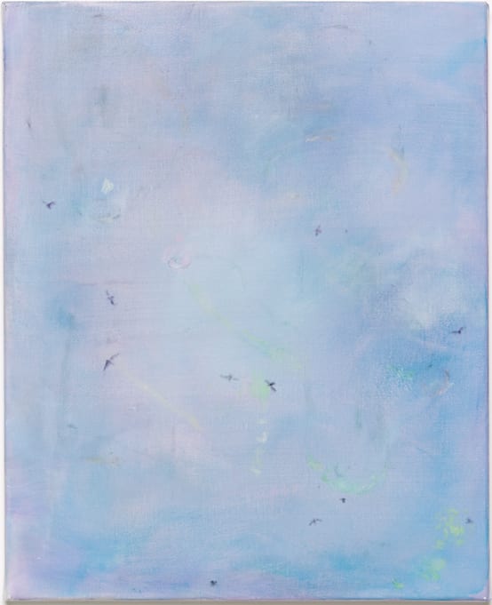 Maaike Schoorel, Vogellucht, 2019