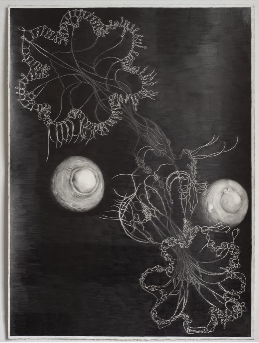 Tom Hallet, Protostar 1, 2022