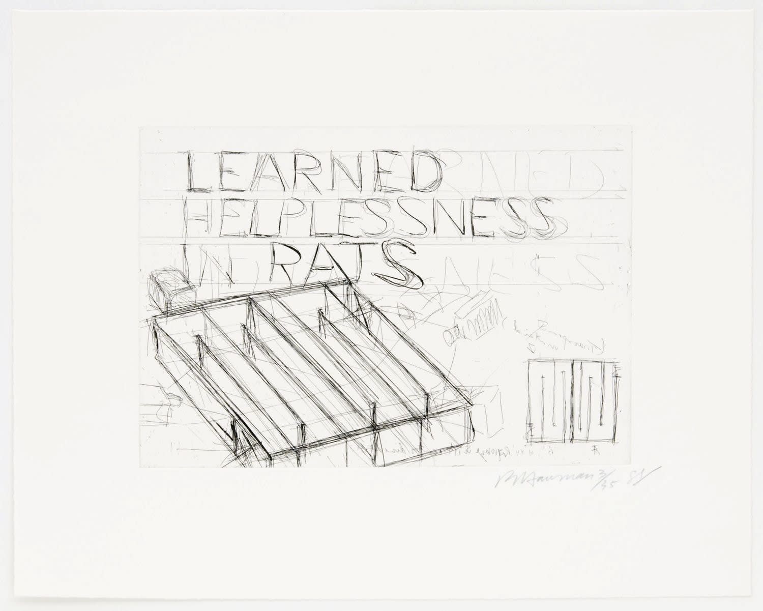 Bruce Nauman, Learned Helplessness in Rats, 1988