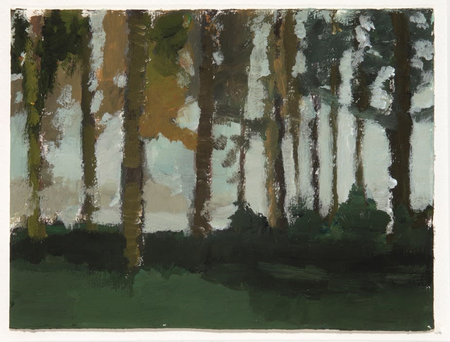 Ilse D'Hollander, Untitled, 1996