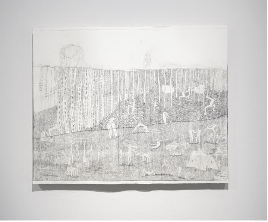 Manon De Bruyn, door het bos de bomen niet meer zien, 2024