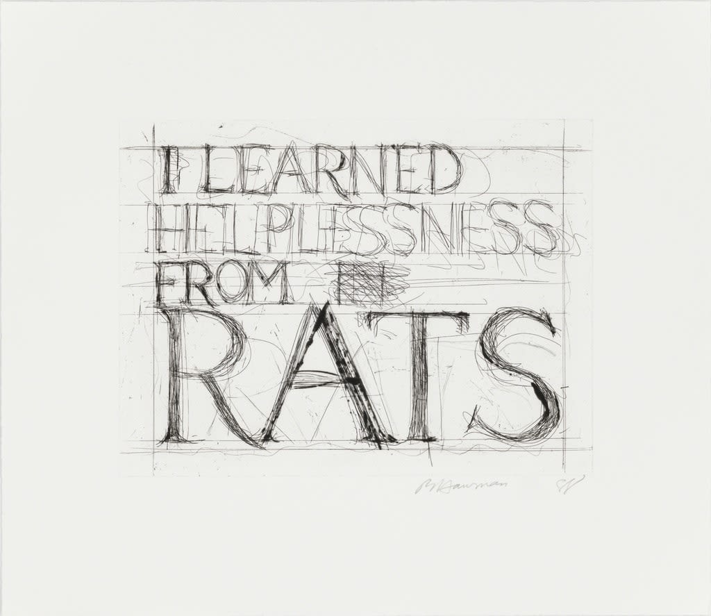 Bruce Nauman, I learned Helplessness from Rats, 1988