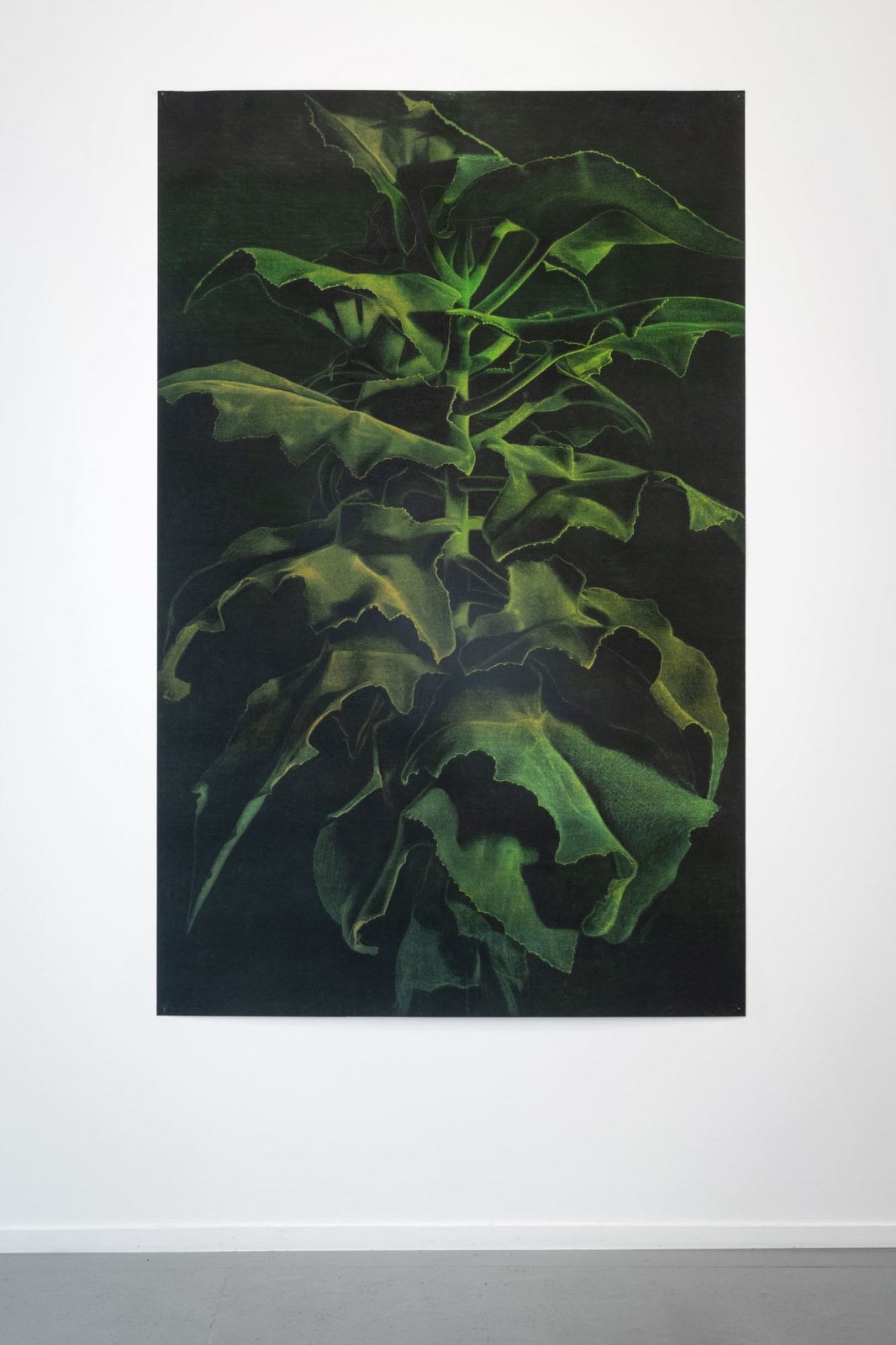 Renée Pevernagie, Velvet Leaves II, 2024