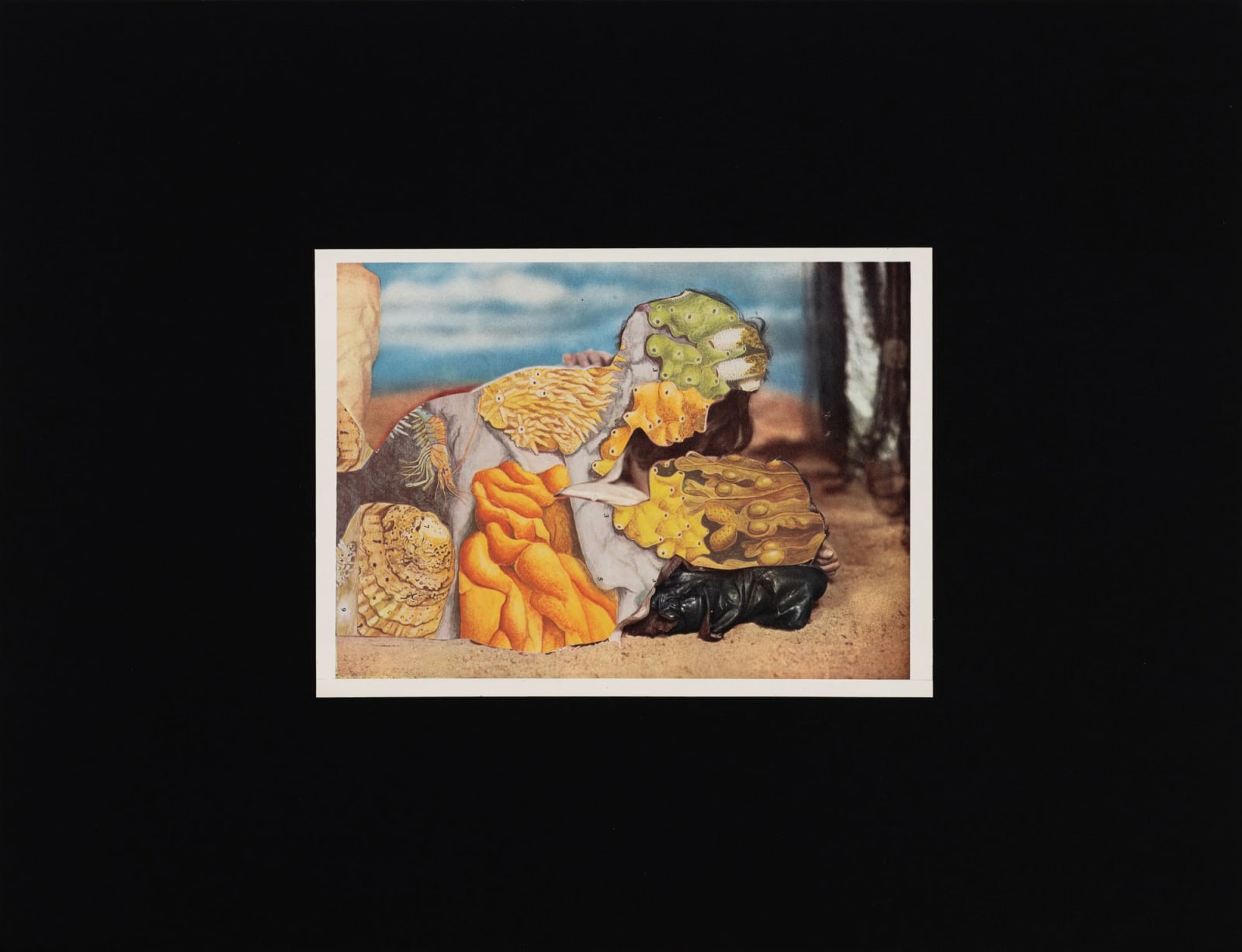 John Stezaker, Spell, 2024