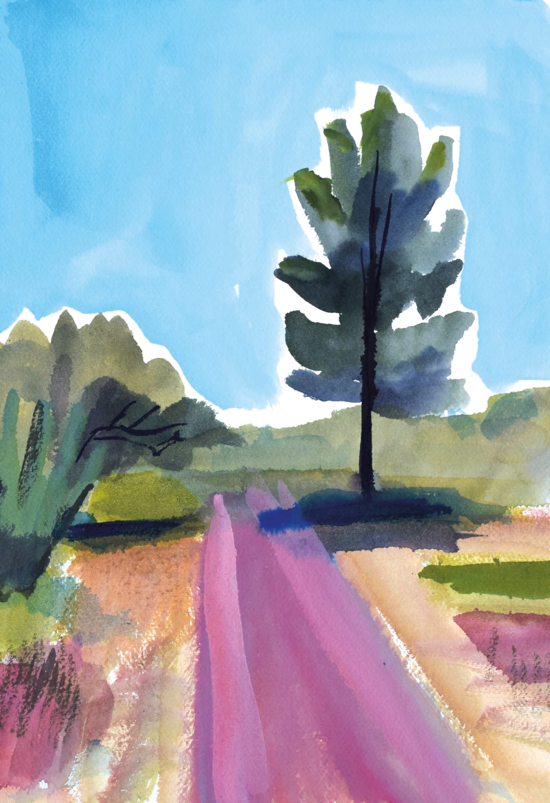 Mattias De Leeuw, Alto das vinas, 2024