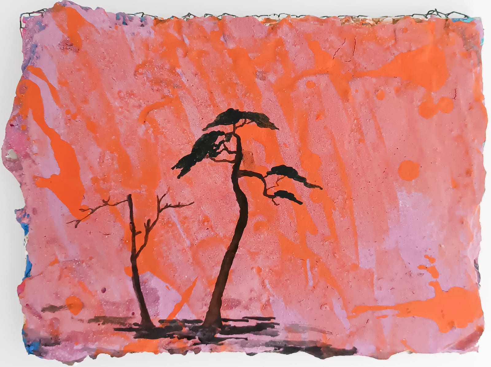 Francesco Battistello, Safari, 2024