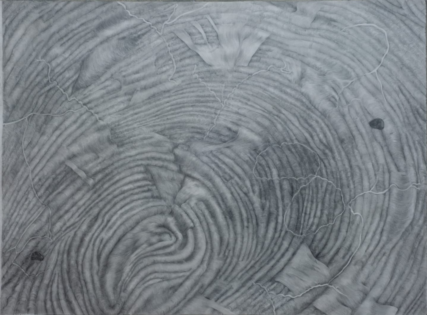 Tom Hallet, To Koi (Fragments of a Love Story), 2022