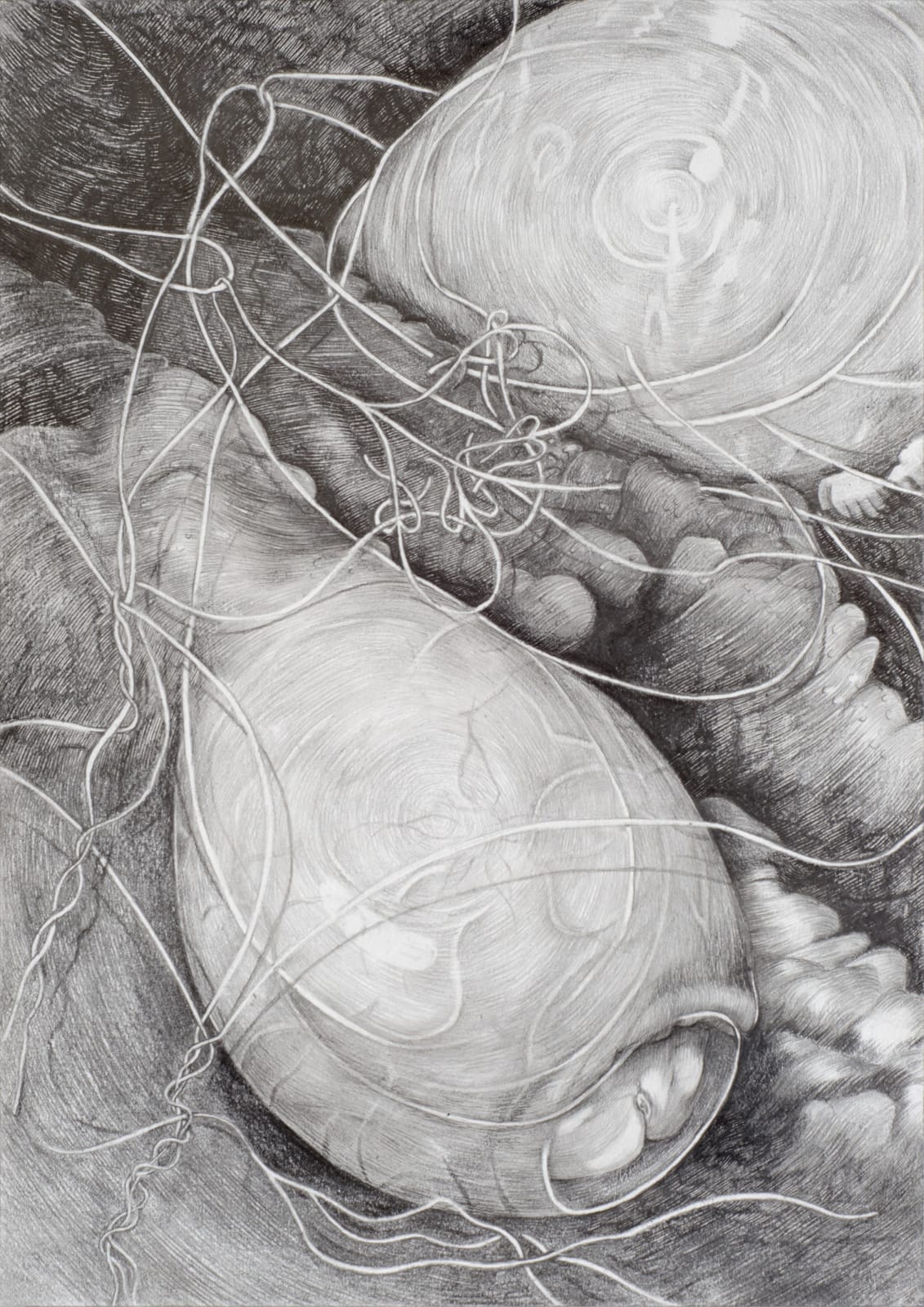 Tom Hallet, To Brontez, 2023