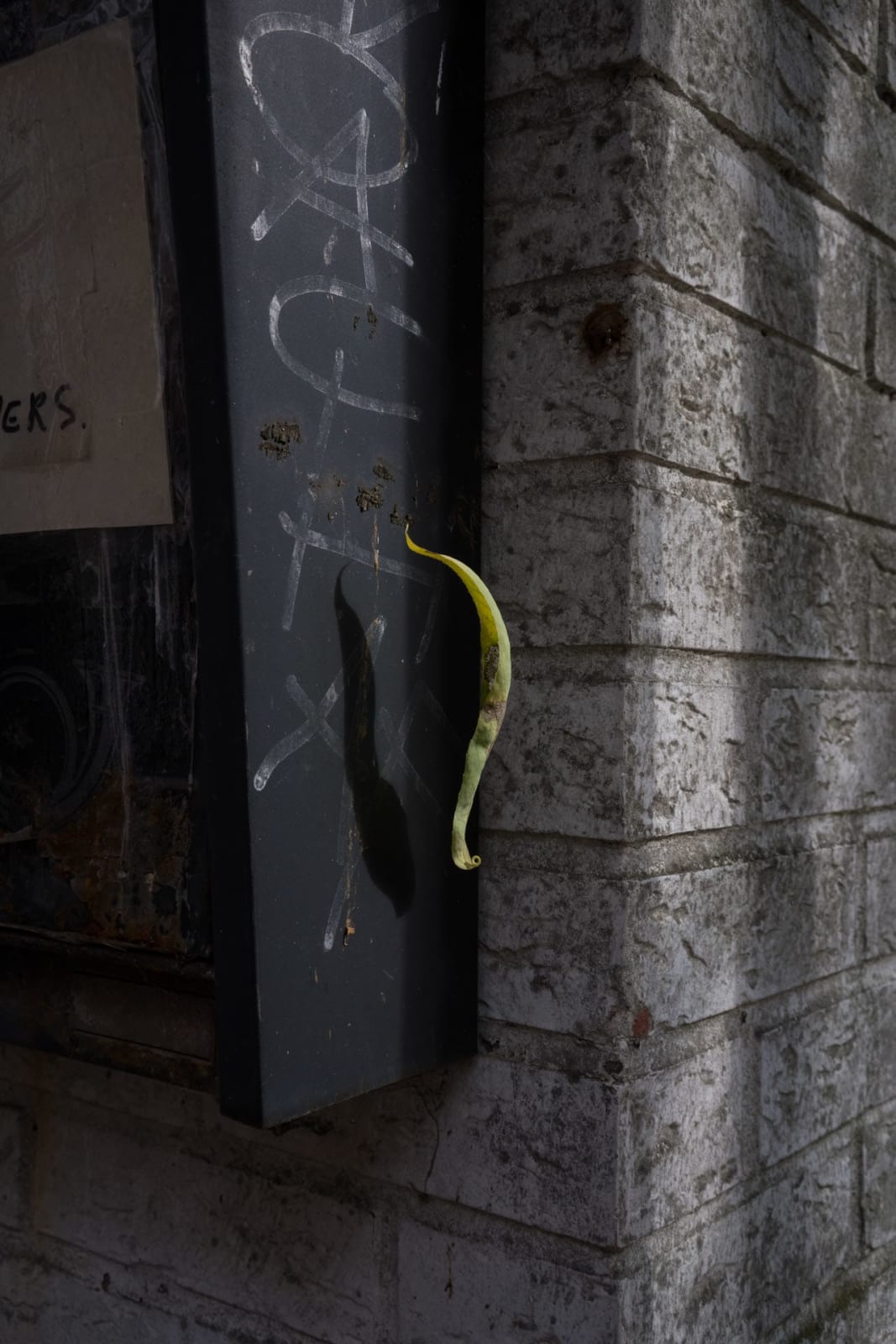 Elias Derboven, Refuge, 2021