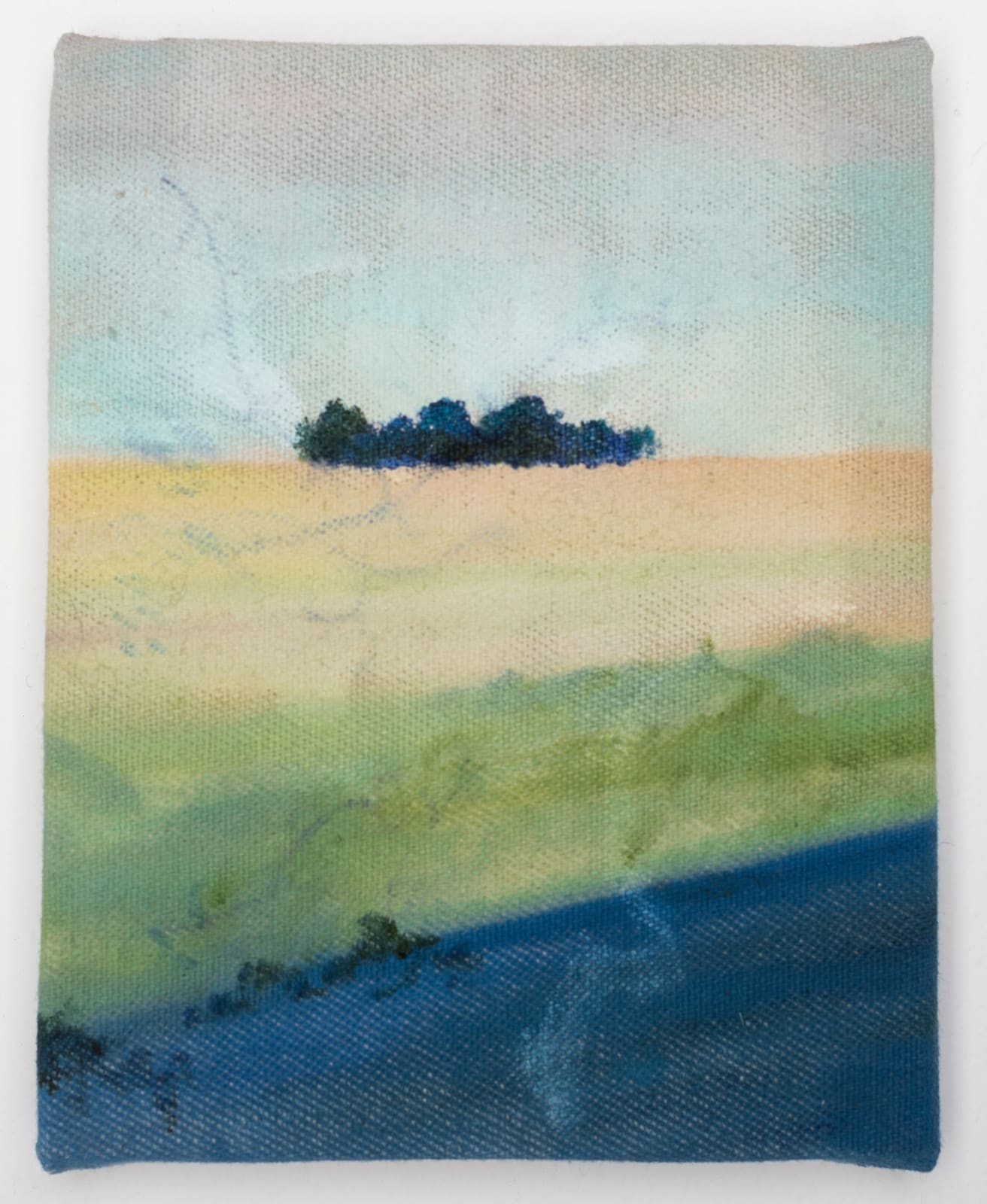 Sophie Varin, Decoy, 2020