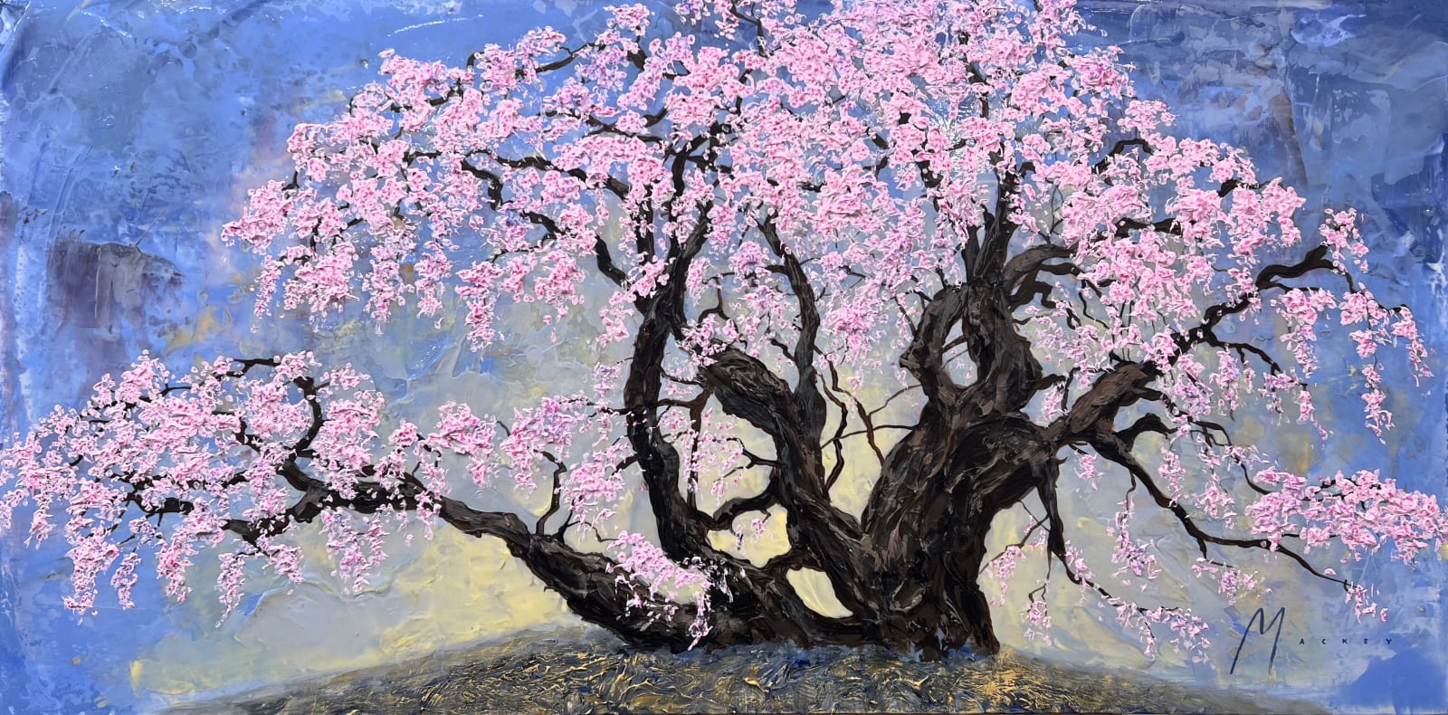 Shawn Mackey, Sakura SN, 2025