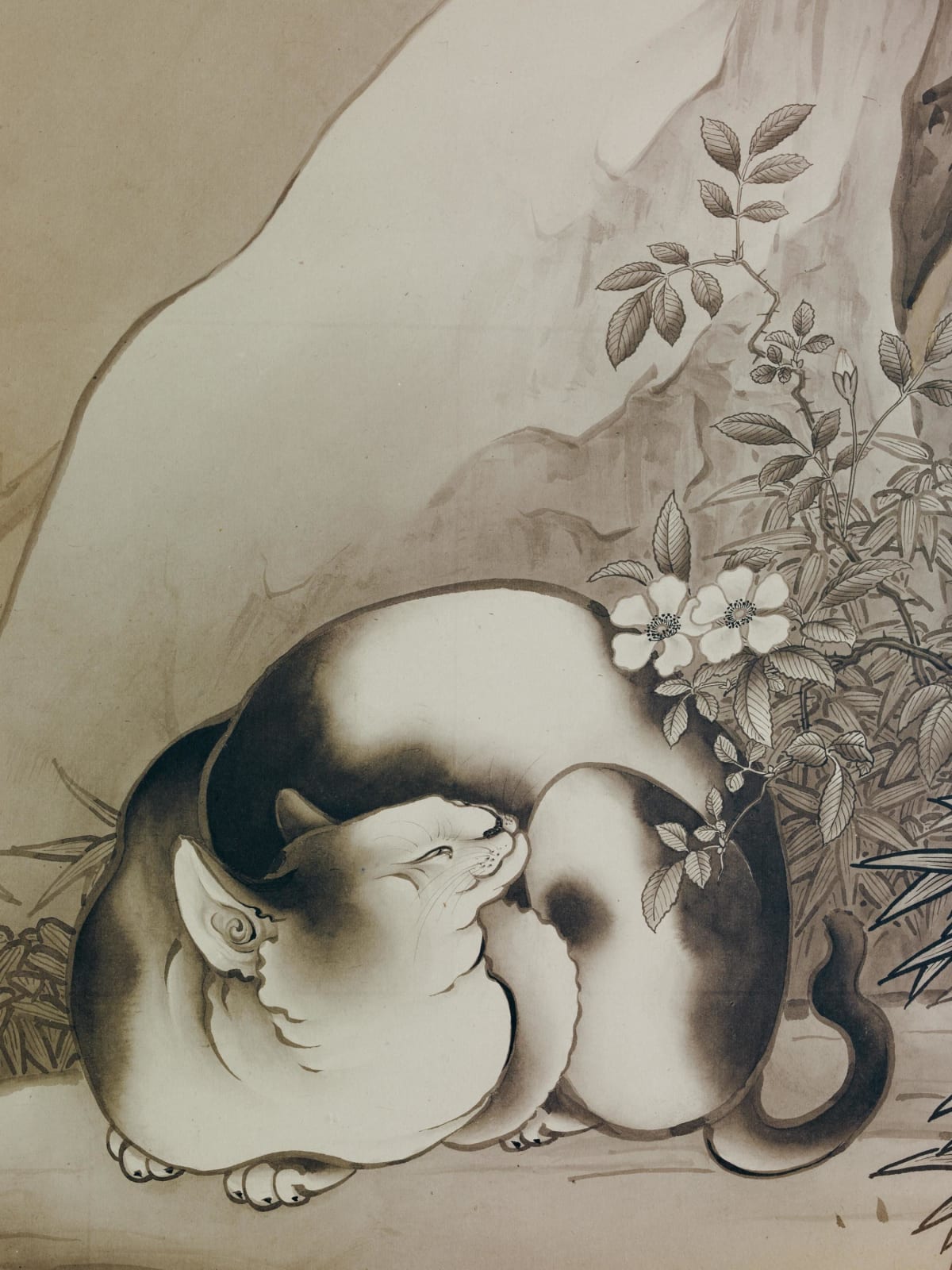 Hashimoto Gahō (1835–1908) , Sparrows and a Cat