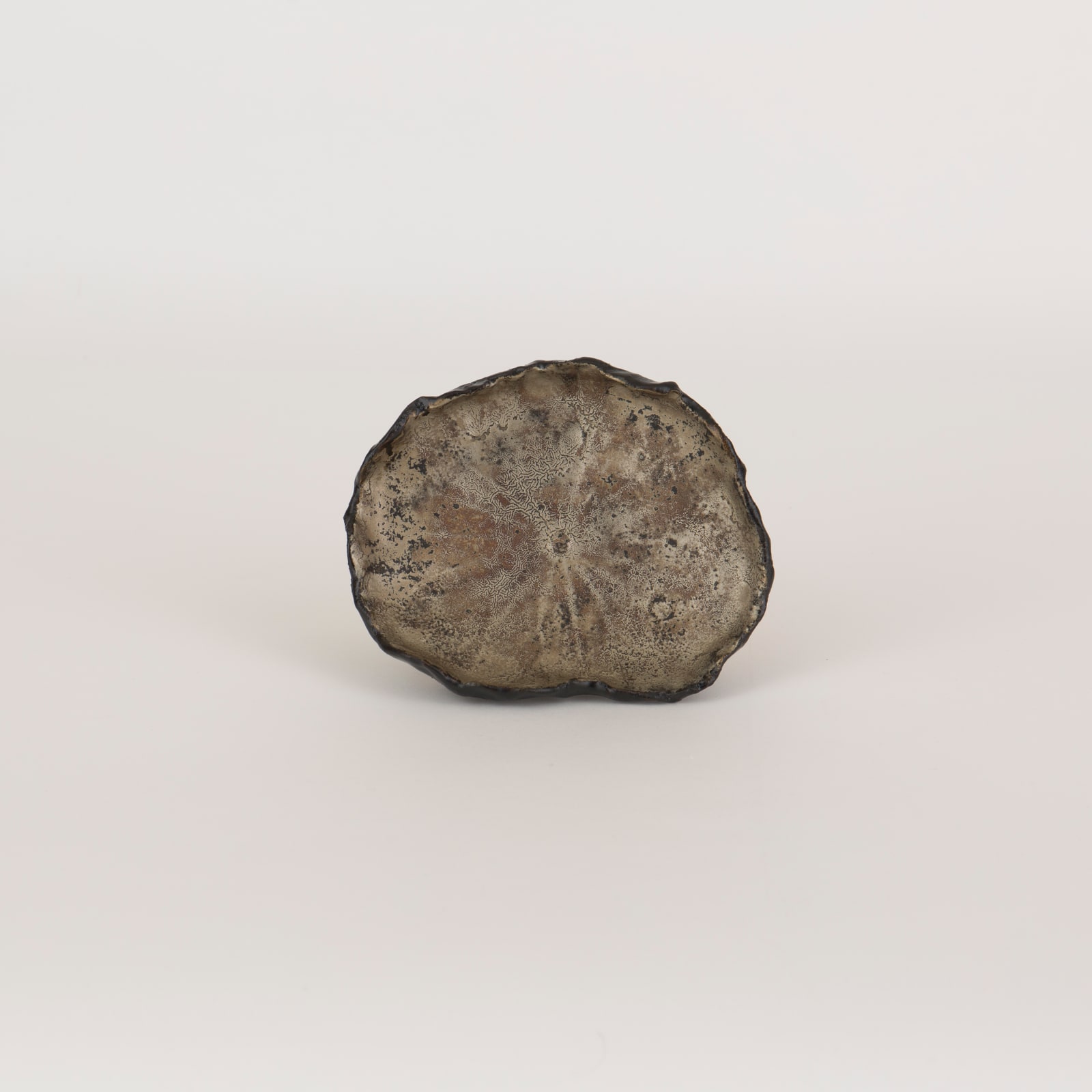 Lotus Leaf Negoro Plate｜根来蓮葉皿, 2023