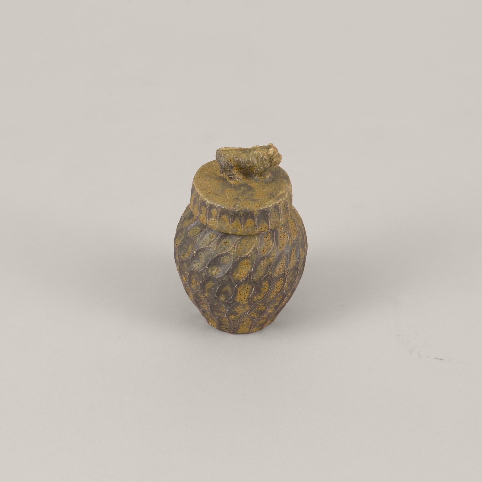 Shinobi Tsubo: Tiger｜伊羅保しのび壺 寅, 2024