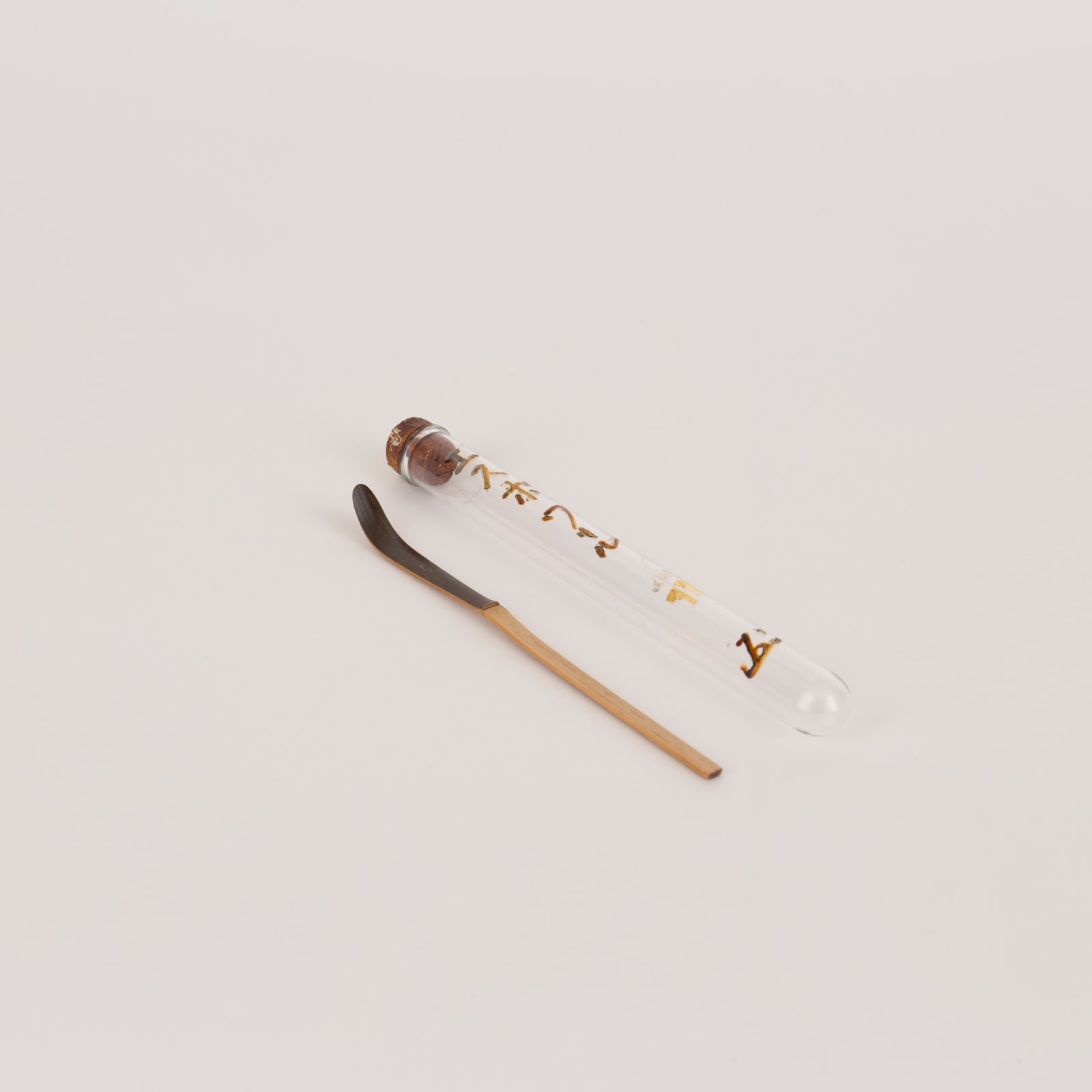 Espoir (Hope)｜エスポワール, 2023